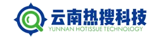 模板网站跟定制开发网站的区别
